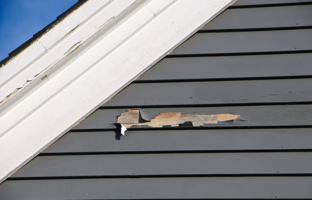 Best Custom Trim and Detailing for Siding  in Archbald, PA